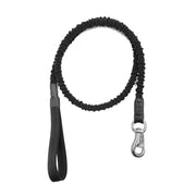 Bungee Dog Leash