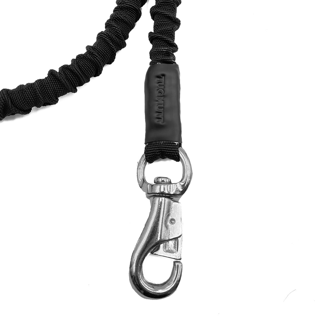 Bungee Leash Dog Leash with Bungee Small Dog Bungee Leash